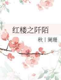 红楼之阡陌73