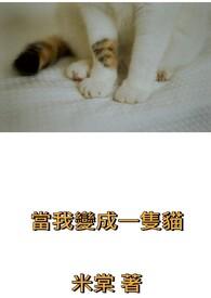 当我变成一只猫视频