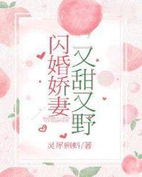 闪婚娇妻有点甜1到100集