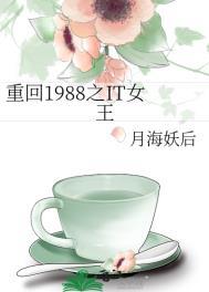 重回1988无重复章节