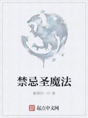 没落公主的禁忌魔法