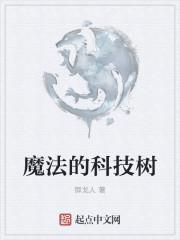 科技与魔法