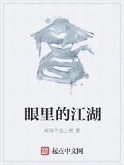 我眼中是你什么意思