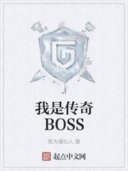 我是传奇boss等级划分