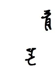 青芒电视剧演员表介绍