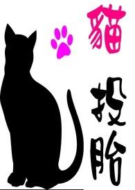 猫投胎的人什么命