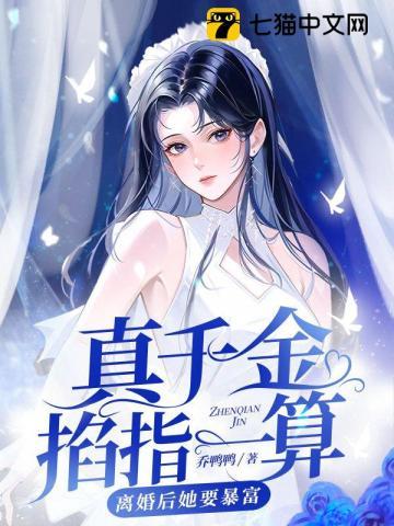 龙虎天师叶玄