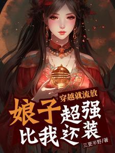 女主是御灵师的